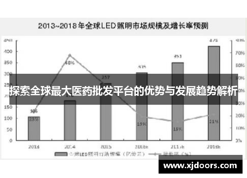 探索全球最大医药批发平台的优势与发展趋势解析