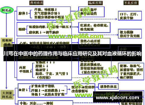 川芎在中医中的药理作用与临床应用研究及其对血液循环的影响